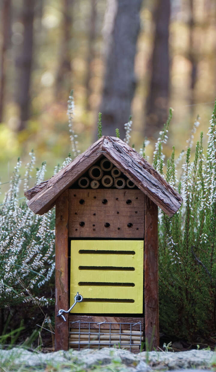 Marienkäfer- und Bienenhaus